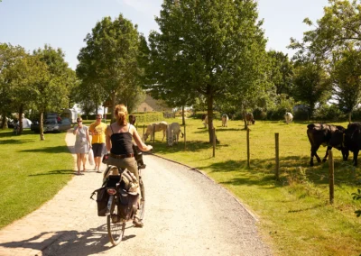 Camping Gastmolen Vaals Zuid Limburg - fietsen en wandelen over de camping